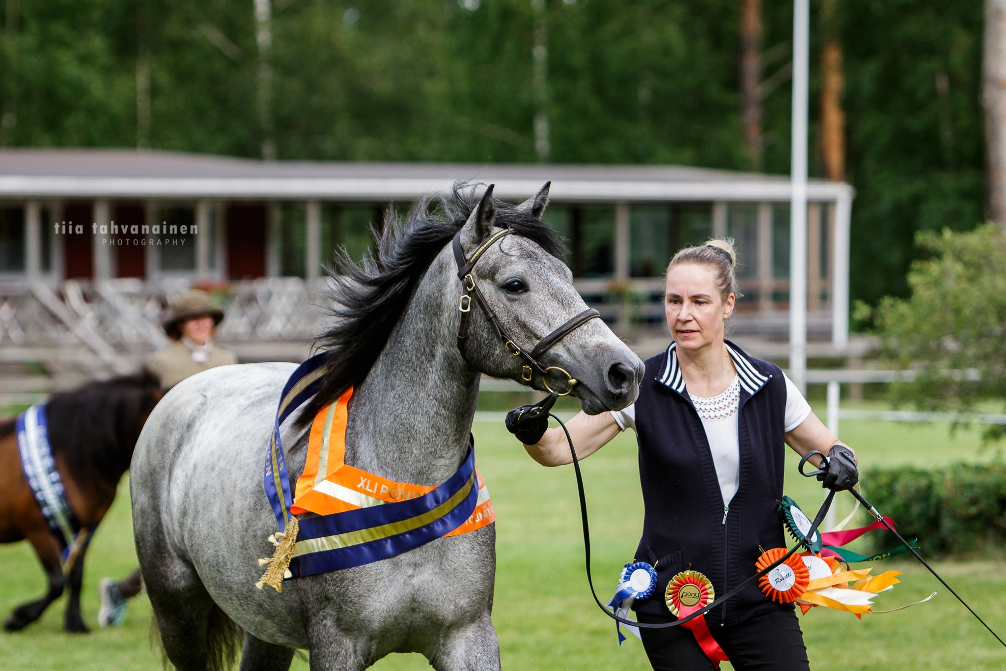 Sup Ch Goldilocks Lassie